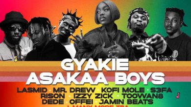 DMV Party in the Park