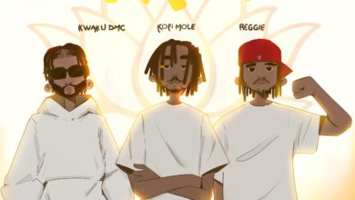 Kofi Mole - YOPOO [feat. Reggie Osei & Kwaku DMC]