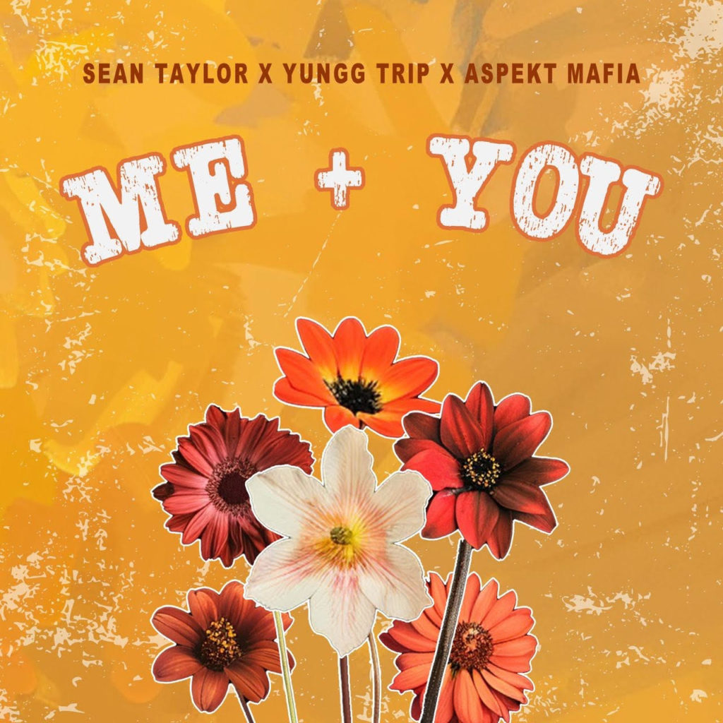 Sean Taylor - Me + You